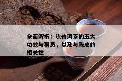 全面解析：陈普洱茶的五大功效与禁忌，以及与陈皮的相关性