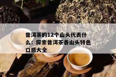 普洱茶的12个山头代表什么：探索普洱茶各山头特色口感大全