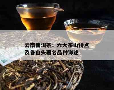 云南普洱茶：六大茶山特点及各山头著名品种详述