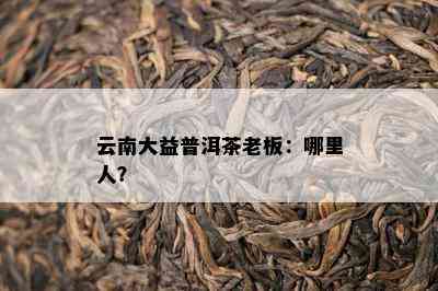 云南大益普洱茶老板：哪里人？