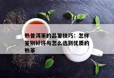 熟普洱茶的品鉴技巧：怎样鉴别好坏与怎么选到优质的熟茶