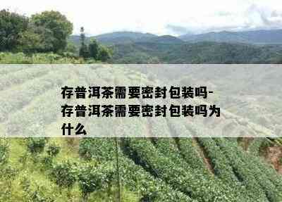 存普洱茶需要密封包装吗-存普洱茶需要密封包装吗为什么