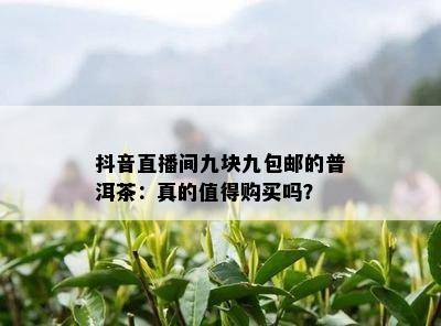 抖音直播间九块九包邮的普洱茶：真的值得购买吗？