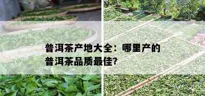 普洱茶产地大全：哪里产的普洱茶品质更佳？