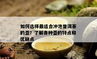 如何选择最适合冲泡普洱茶的壶？了解各种壶的特点和优缺点