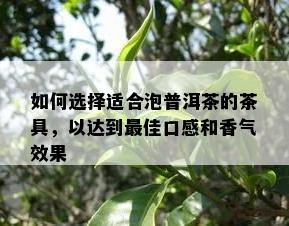 如何选择适合泡普洱茶的茶具，以达到更佳口感和香气效果