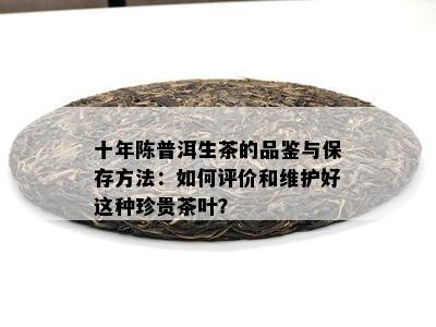 十年陈普洱生茶的品鉴与保存方法：如何评价和维护好这种珍贵茶叶？