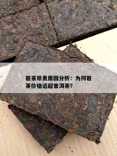 岩茶昂贵原因分析：为何岩茶价格远超普洱茶？