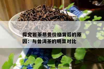 探究岩茶昂贵价格背后的原因：与普洱茶的明显对比