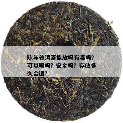 陈年普洱茶能放吗有吗？可以喝吗？安全吗？存放多久合适？