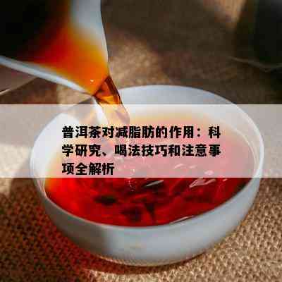 普洱茶对减脂肪的作用：科学研究、喝法技巧和注意事项全解析