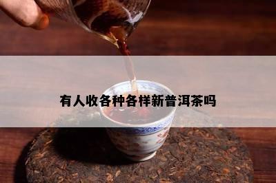 有人收各种各样新普洱茶吗