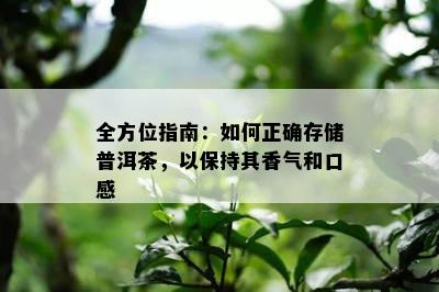 全方位指南：如何正确存储普洱茶，以保持其香气和口感