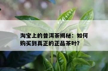 淘宝上的普洱茶揭秘：如何购买到真正的正品茶叶？