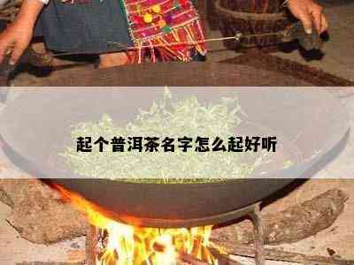 起个普洱茶名字怎么起好听