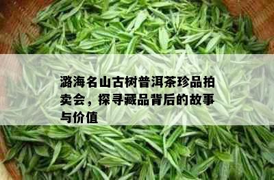 潞海名山古树普洱茶珍品拍卖会，探寻藏品背后的故事与价值