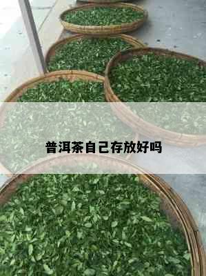 普洱茶自己存放好吗