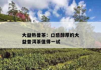 大益熟普茶：口感醇厚的大益普洱茶值得一试