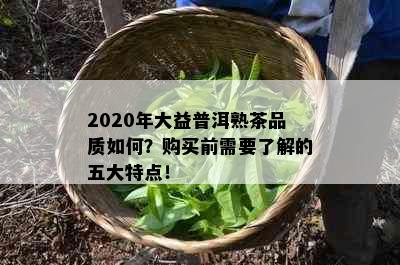 2020年大益普洱熟茶品质如何？购买前需要了解的五大特点！