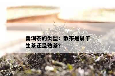 普洱茶的类型：散茶是属于生茶还是熟茶？