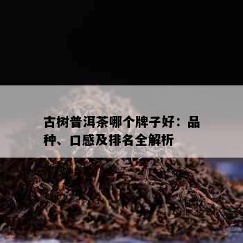 古树普洱茶哪个牌子好：品种、口感及排名全解析