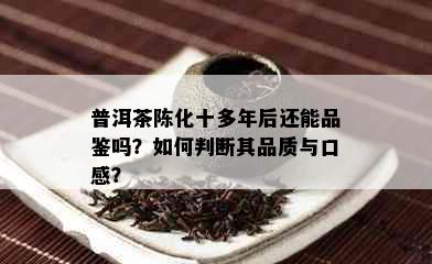 普洱茶陈化十多年后还能品鉴吗？如何判断其品质与口感？