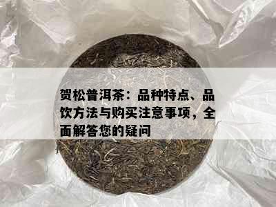 贺松普洱茶：品种特点、品饮方法与购买注意事项，全面解答您的疑问