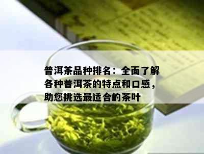 普洱茶品种排名：全面了解各种普洱茶的特点和口感，助您挑选最适合的茶叶