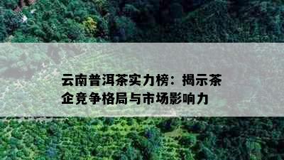 云南普洱茶实力榜：揭示茶企竞争格局与市场影响力