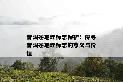 普洱茶地理标志保护：探寻普洱茶地理标志的意义与价值