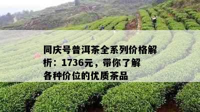 同庆号普洱茶全系列价格解析：1736元，带你了解各种价位的优质茶品