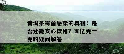 普洱茶霉菌感染的真相：是否还能安心饮用？五亿克一克的疑问解答