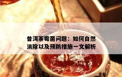 普洱茶霉菌问题：如何自然消除以及预防措施一文解析