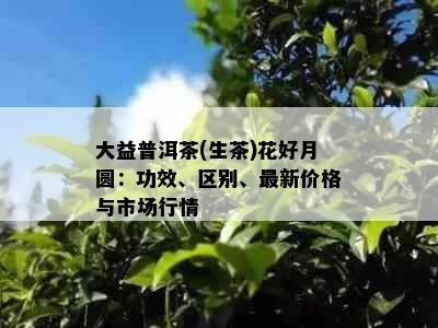 大益普洱茶(生茶)花好月圆：功效、区别、最新价格与市场行情