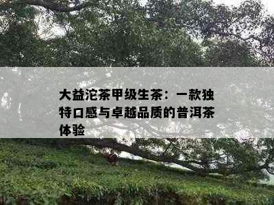 大益沱茶甲级生茶：一款独特口感与卓越品质的普洱茶体验