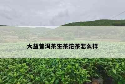 大益普洱茶生茶沱茶怎么样