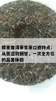 探索普洱茶生茶口感特点：从苦涩到回甘，一次全方位的品鉴体验