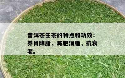 普洱茶生茶的特点和功效：养胃降脂，减肥消脂，抗衰老。