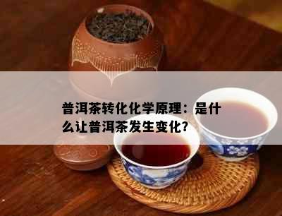 普洱茶转化化学原理：是什么让普洱茶发生变化？