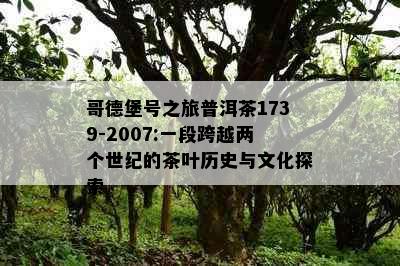 哥德堡号之旅普洱茶1739-2007:一段跨越两个世纪的茶叶历史与文化探索