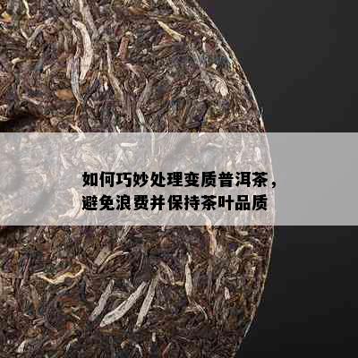 如何巧妙处理变质普洱茶，避免浪费并保持茶叶品质