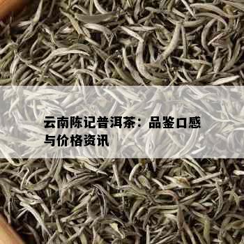 云南陈记普洱茶：品鉴口感与价格资讯