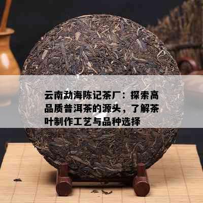 云南勐海陈记茶厂：探索高品质普洱茶的源头，了解茶叶制作工艺与品种选择