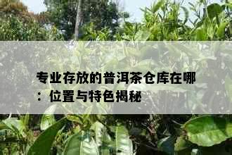 专业存放的普洱茶仓库在哪：位置与特色揭秘