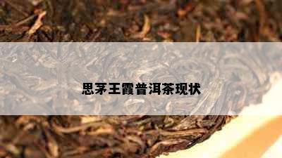 思茅王霞普洱茶现状