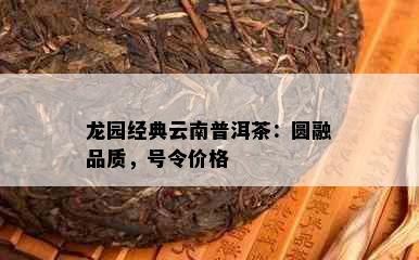 龙园经典云南普洱茶：圆融品质，号令价格