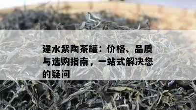 建水紫陶茶罐：价格、品质与选购指南，一站式解决您的疑问