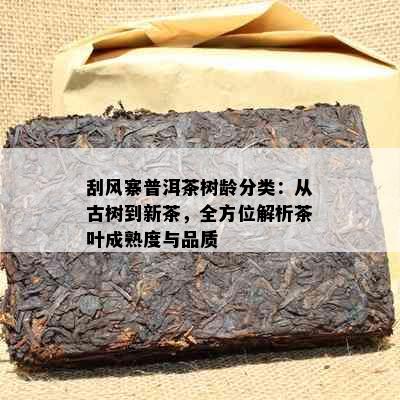 刮风寨普洱茶树龄分类：从古树到新茶，全方位解析茶叶成熟度与品质