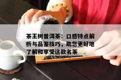 茶王树普洱茶：口感特点解析与品鉴技巧，助您更好地了解和享受这款名茶