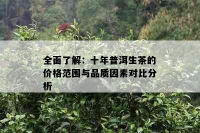 全面了解：十年普洱生茶的价格范围与品质因素对比分析